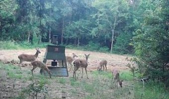 240 Magnolia, Bennington, OK 74723