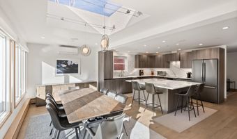 447 E Cooper Ave 1, Aspen, CO 81611