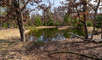 Dover Drive lot 2 +/-43 Ac, Adams, WI 53910