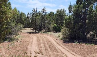 Lot 13 Ranch And Cattle, Ash Fork, AZ 86320