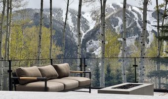 323 E Reds Rd, Aspen, CO 81611