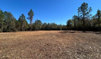 20 Ac Coot Adams Rd, Ashford, AL 36312