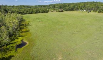 8688 Miller Rd, Alanson, MI 49706