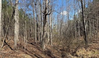MOUNTAIN CUT RD lot C, Appomattox, VA 24522