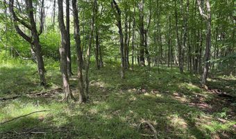 Green Road, Alfred, NY 14802