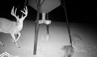 560 Th Ave, Albia, IA 52531