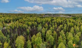 6092 S Purinton Pkwy, Big Lake, AK 99623