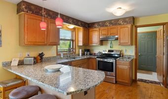 6373 Sunset Blvd, Alanson, MI 49706