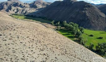 Tbd Morgan Creek Road, Challis, ID 83226