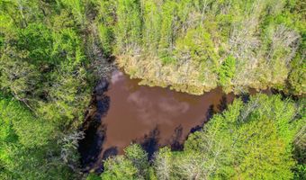 6995 Cobbham Rd, Appling, GA 30802