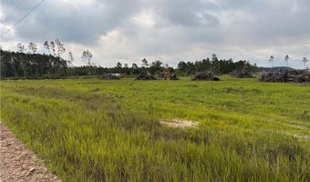 9 219 Ac Rhine Alma GA Rd, Alma, GA 31510