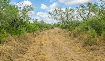 1121 County Road 481, Alice, TX 78332