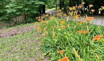 1475 Snow Lake Dr, Ashland, MS 38603
