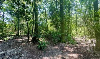 Williams Street, Brookhaven, MS 39601