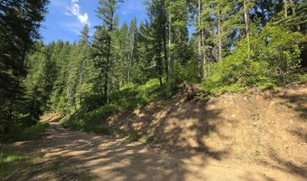 480 Dunn Peak Rd, Avery, ID 83802