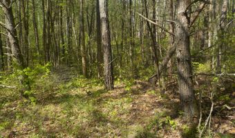 Steve Brown Road, Bean Station, TN 37708