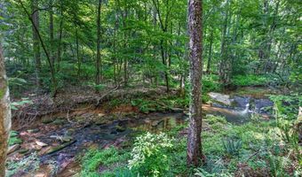 2025 Soap Creek Rd, Ball Ground, GA 30107