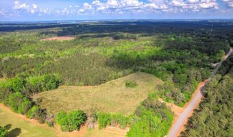 6995 Cobbham Rd, Appling, GA 30802