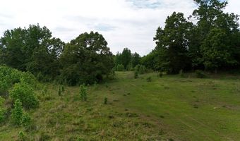 Beauty Hill Rd lot 1, Bethel Springs, TN 38315
