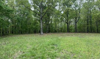 Co Rd 321 Route 5, Ava, MO 65608