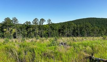 D4289 Road, Antlers, OK 74536