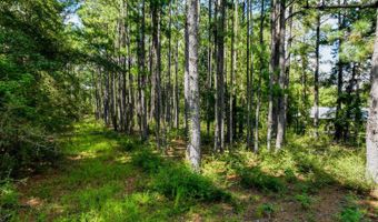 12 5+/- Acres Zell Ready Rd, Andalusia, AL 36421