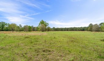 91801 U. S. Highway 98, Beaumont, MS 39423