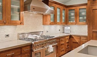 719 E Hopkins Ave 202, Aspen, CO 81611