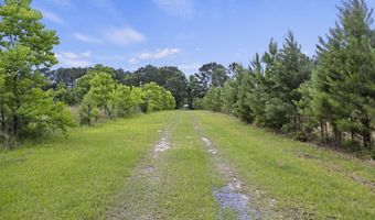191 Marion Woods Trl, Bonneau, SC 29431