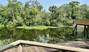 23733 BASIN Dr, Astor, FL 32102