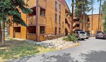 800 Columbine Rd 11, Breckenridge, CO 80424
