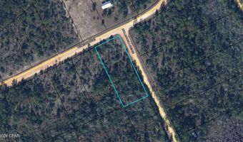 Nezperce Drive, Alford, FL 32420