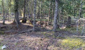 Lots 35 & 36 Dolly Vardon, Bayview, ID 83803