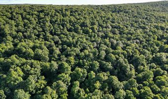 Whiskey Creek Lane, Batesville, AR 72501