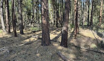 Thunderbear Road 46, Bonanza, OR 97623