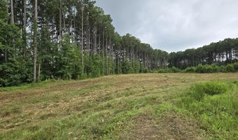 Lot 50 Roseheath Court, Bailey, NC 27807