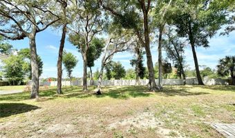 132 S BULOVA Dr, Apopka, FL 32703