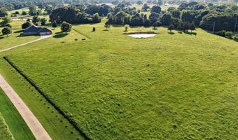 Tbd CR 1600, Alba, TX 75410