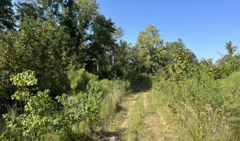 MILTON WHITE ROAD, Bastrop, LA 71220