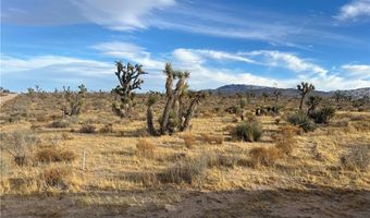 23926 Poppy Rd, Apple Valley, CA 92308