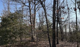 Pecks Drive N, Bergman, AR 72615
