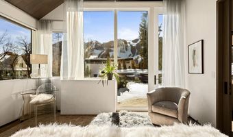 219 N Monarch St, Aspen, CO 81611