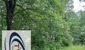 50-8210 Sandy Camp Road-Danville Rd, Big Sandy, TN 38221