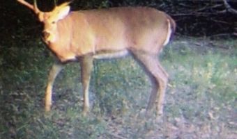 E 1931 RD, Antlers, OK 74523