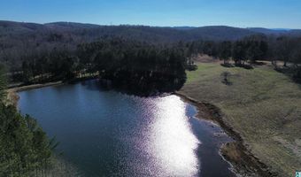 46088 HIGHWAY 77 Lot 0, Ashland, AL 36251