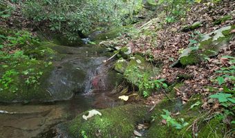 Hall Hollow Road, Austinville, VA 24312