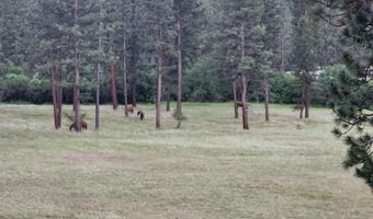 35322 Washoe Rd, Bonner, MT 59823