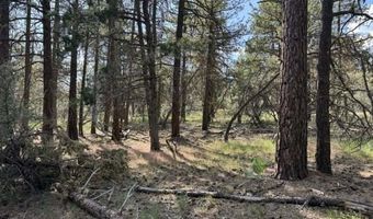 Thunder Bear Road, Bonanza, OR 97623