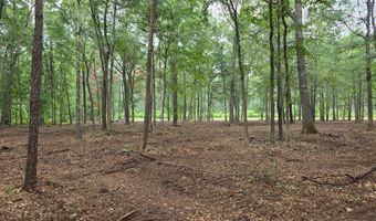 Blume Road lot 9, Alto, TX 75925