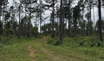 154 County Road 38 Acres, Banks, AL 36005